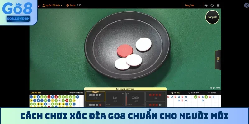Cách chơi xóc đĩa GO8 chuẩn cho người mới